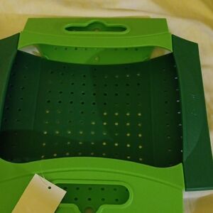 Avon Green Collapsible Colander